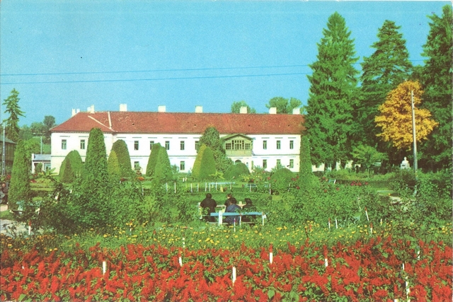 2049-1 - Oradea. Băile 1 Mai